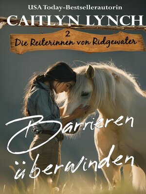cover image of Barrieren überwinden